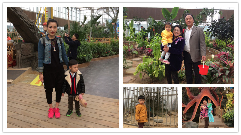 BBunion国际早教石家庄中心活动花絮:相约在春天,踏青采摘季 BBunion国际早教石家庄中心活动花絮:相约在春天,踏青采摘季