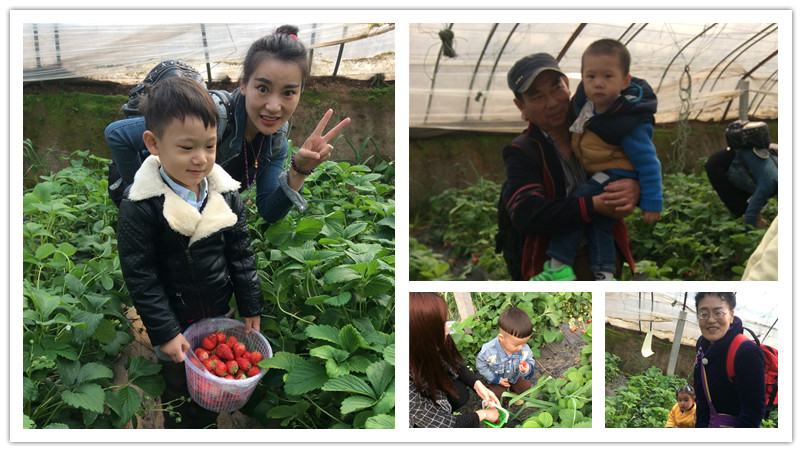 BBunion国际早教石家庄中心活动花絮:相约在春天,踏青采摘季 BBunion国际早教石家庄中心活动花絮:相约在春天,踏青采摘季
